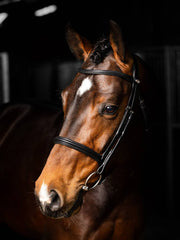 LeMieux Arika Cavesson Bridle