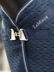 LeMieux Kudos 3D Mesh Travel Rug