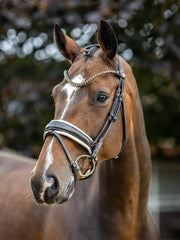 LeMieux Kudos Patent Dressage Bridle