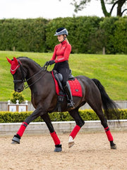 Lemieux Loire Classic Dressage Square