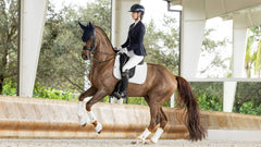Lemieux ProSorb Plain 2 Pocket Dressage Square