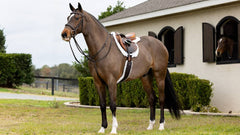 LeMieux Merino+ Hunter Saddle Pad White/White