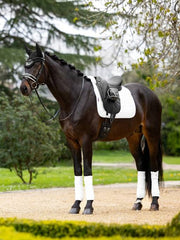 Lemieux Merino+ Half Lined Suede Dressage Square