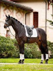 Lemieux Merino+ Half Lined Dressage Square