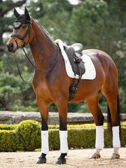 Lemieux Merino+ Half Lined Dressage Square