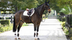 LeMieux ProSorb Plain 2 Pocket Close Contact Square