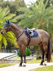 LeMieux ProSorb Plain 2 Pocket Close Contact Square