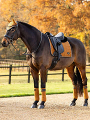 Lemieux Loire Classic Dressage Square
