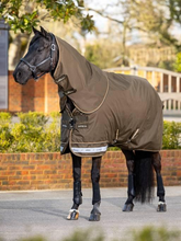 LeMieux Arika Ripstop 0g Turnout Rug Alpine