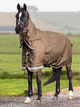 LeMieux Arika Ripstop 200g Turnout Rug Alpine