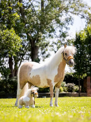 LeMieux Toy Pony Lemon