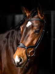 LeMieux Arika Adjustable Anatomic Noseband Bridle