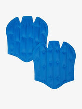 LeMieux ProIce Freeze Boots Gel Packs