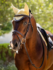 Lemieux Classic Fly Hood SS25