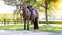 Lemieux Essence Dressage Square