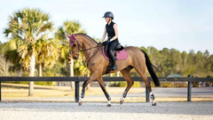 LeMieux Essence Eurojump Square