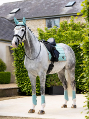 Lemieux Loire Classic Dressage Square SS25