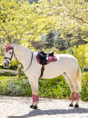 LeMieux Loire Classic GP Square SS25