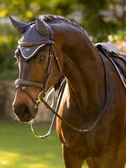 Lemieux Loire Fly Hood SS25