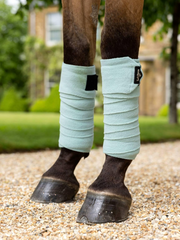 Lemieux Polo Bandages SS25