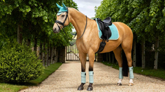 Lemieux Suede Dressage Square SS25