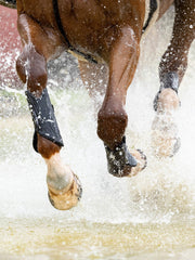 LeMieux MIMsafe XC Boot Front Black