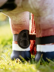 LeMieux Toy Pony Capella Boots