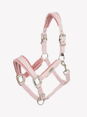 Lemieux Versailles Headcollar SS25