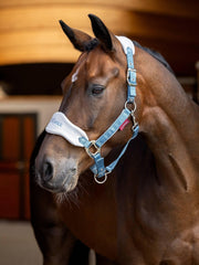 Lemieux Vogue Headcollar & Leadrope