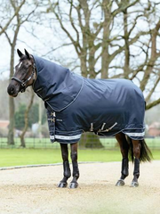 LeMieux Arika Storm-Tek Rug 350g