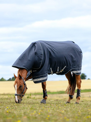 LeMieux Arika Storm-Tek Rug 50g