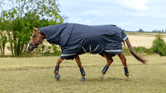 LeMieux Arika Storm-Tek Rug 200g