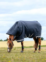 LeMieux Arika Storm-Tek Rug 350g