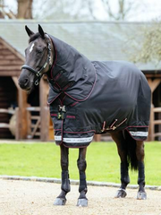 LeMieux Arika Storm-Tek Rug 350g
