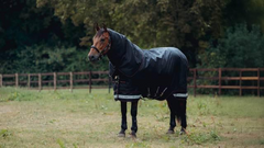 LeMieux Arika Storm-Tek Rug 350g