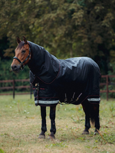 LeMieux Arika Storm-Tek Rug 200g