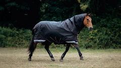 LeMieux Arika Storm-Tek Rug 100g
