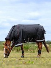 LeMieux Arika Storm-Tek Rug 350g