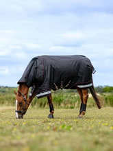 LeMieux Arika Storm-Tek Rug 100g