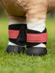LeMieux Toy Pony Grafter Boots AW25