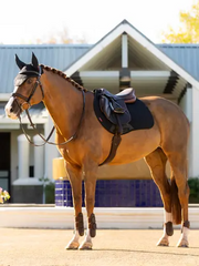 LeMieux Essence Eurojump Square