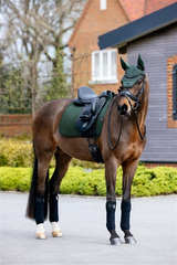 Lemieux Essence Dressage Square