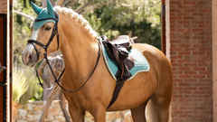 LeMieux Suede GP Square SS25