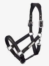 Lemieux Capella Headcollar