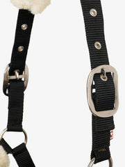 Lemieux Comfort Headcollar