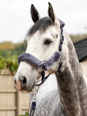 Lemieux Comfort Headcollar