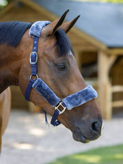 Lemieux Comfort Headcollar