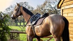 Lemieux Cotton Close Contact Square