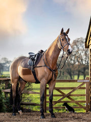 Lemieux Cotton Close Contact Square