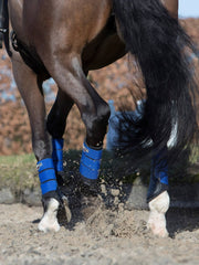 Lemieux Grafter Brushing Boot